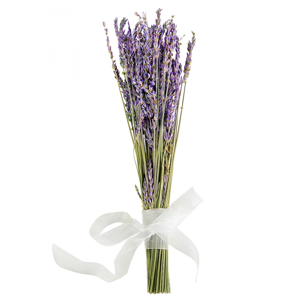Naturally Dried Lavender Bunch - 13 to 16 Height – Ed's Plant Shop
